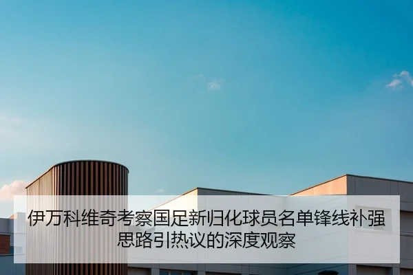 伊万科维奇考察国足新归化球员名单锋线补强思路引热议的深度观察
